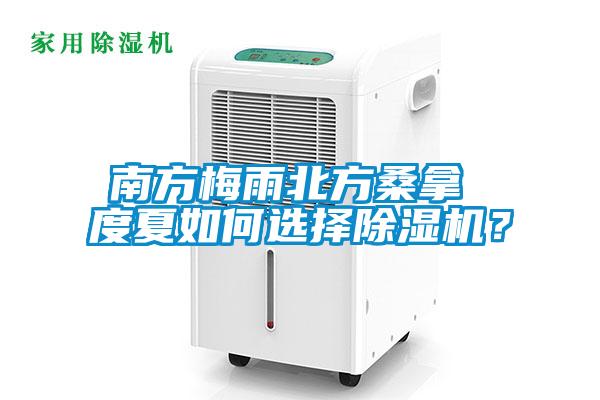 南方梅雨北方桑拿 度夏如何選擇除濕機？