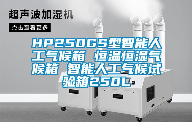 HP250GS型智能人工氣候箱 恒溫恒濕氣候箱 智能人工氣候試驗箱250L