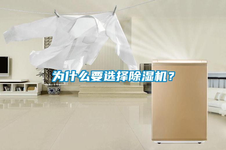 為什么要選擇除濕機？