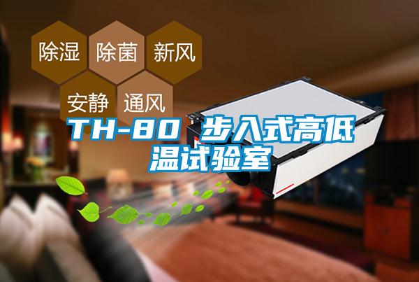 TH-80 步入式高低溫試驗室
