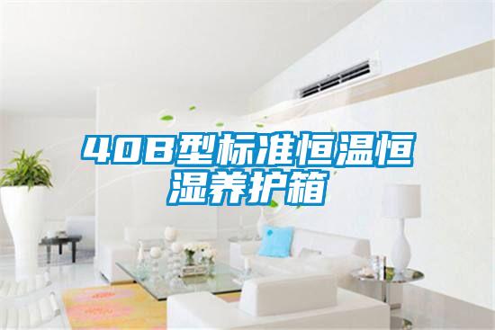 40B型標準恒溫恒濕養護箱
