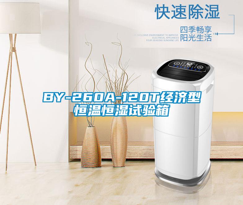 BY-260A-120T經(jīng)濟(jì)型恒溫恒濕試驗(yàn)箱