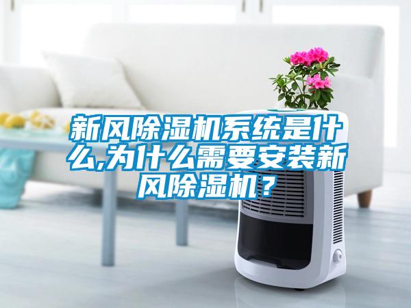 新風除濕機系統(tǒng)是什么,為什么需要安裝新風除濕機？