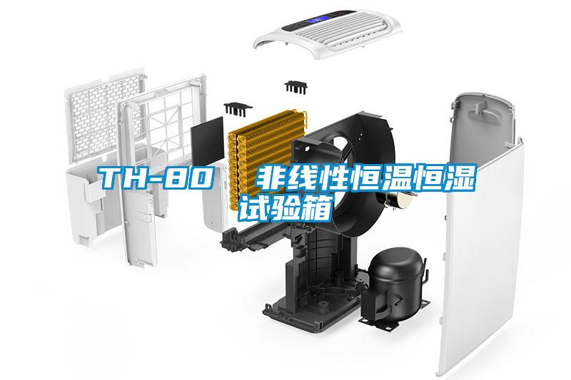 TH-80  非線性恒溫恒濕試驗箱