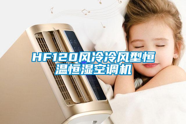 HF120風冷冷風型恒溫恒濕空調機