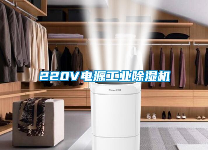 220V電源工業(yè)除濕機