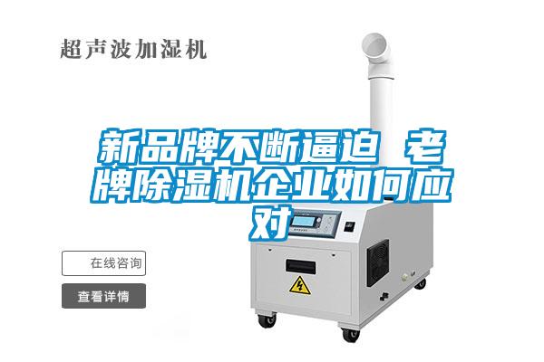 新品牌不斷逼迫 老牌除濕機企業如何應對