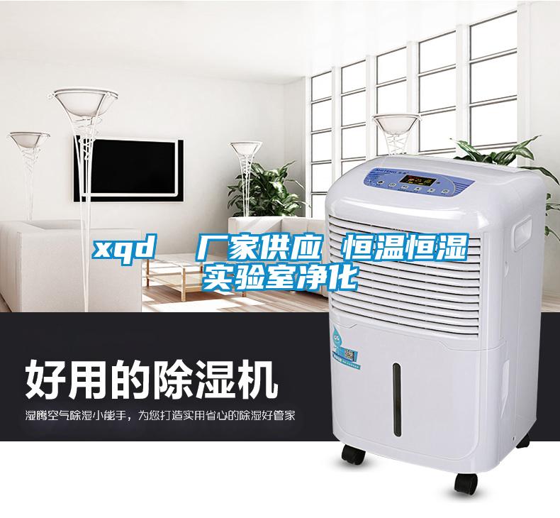 xqd  廠家供應 恒溫恒濕實驗室凈化
