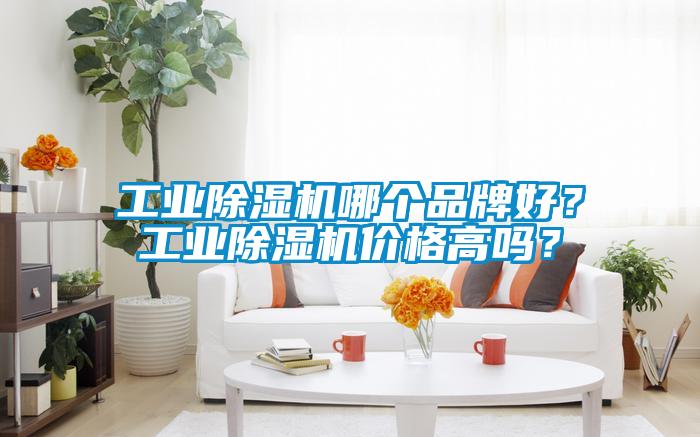 工業除濕機哪個品牌好？工業除濕機價格高嗎？