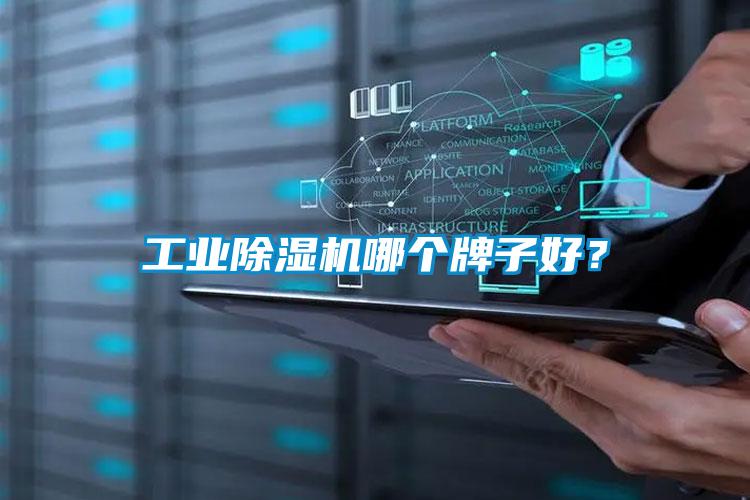 工業除濕機哪個牌子好？