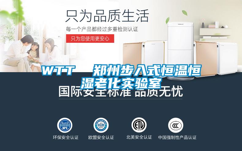 WTT  鄭州步入式恒溫恒濕老化實驗室
