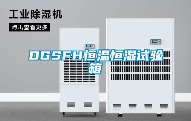 DGSFH恒溫恒濕試驗箱