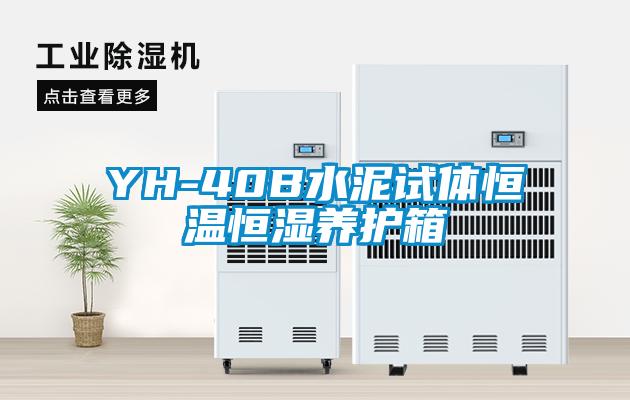 YH-40B水泥試體恒溫恒濕養護箱