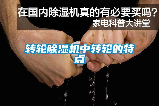 轉輪除濕機中轉輪的特點