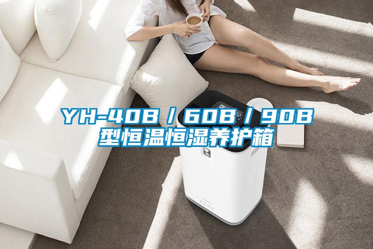 YH-40B／60B／90B型恒溫恒濕養護箱