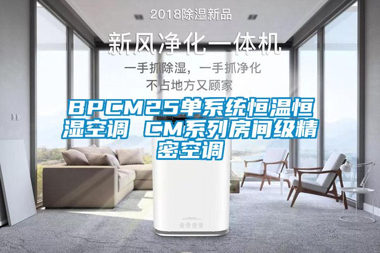 BPCM25單系統(tǒng)恒溫恒濕空調 CM系列房間級精密空調