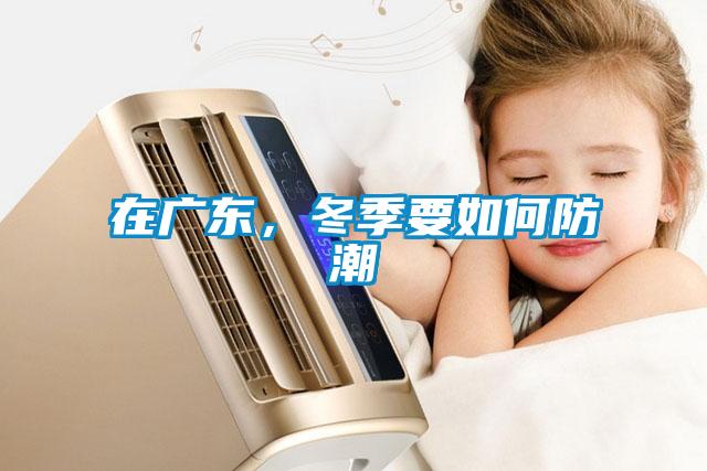 在廣東，冬季要如何防潮