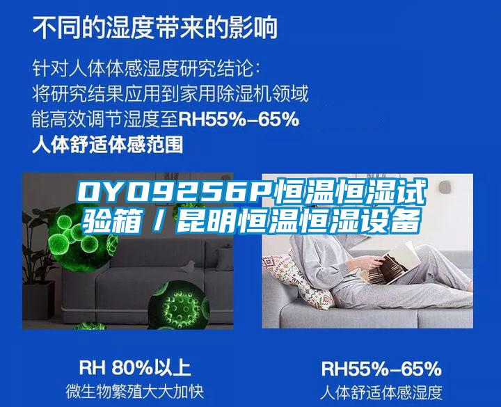 OYO9256P恒溫恒濕試驗箱／昆明恒溫恒濕設備