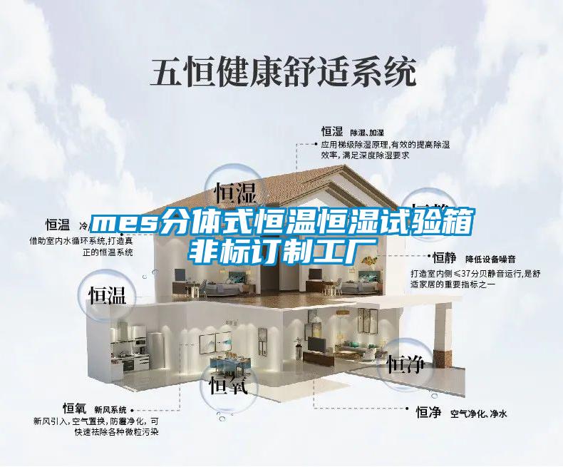 mes分體式恒溫恒濕試驗箱非標訂制工廠