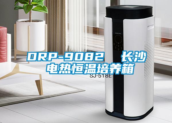 DRP-9082  長沙 電熱恒溫培養箱