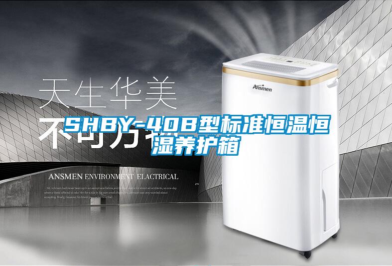 SHBY-40B型標準恒溫恒濕養護箱