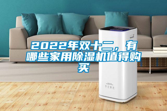 2022年雙十二，有哪些家用除濕機值得購買