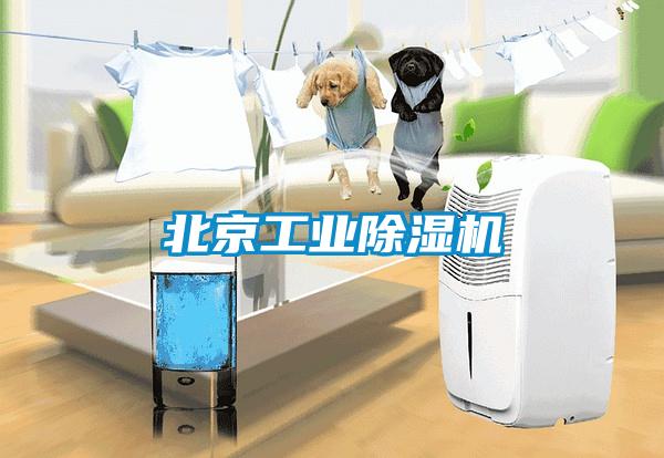北京工業除濕機