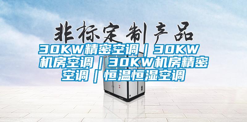 30KW精密空調(diào)｜30KW 機房空調(diào)｜30KW機房精密空調(diào)｜恒溫恒濕空調(diào)