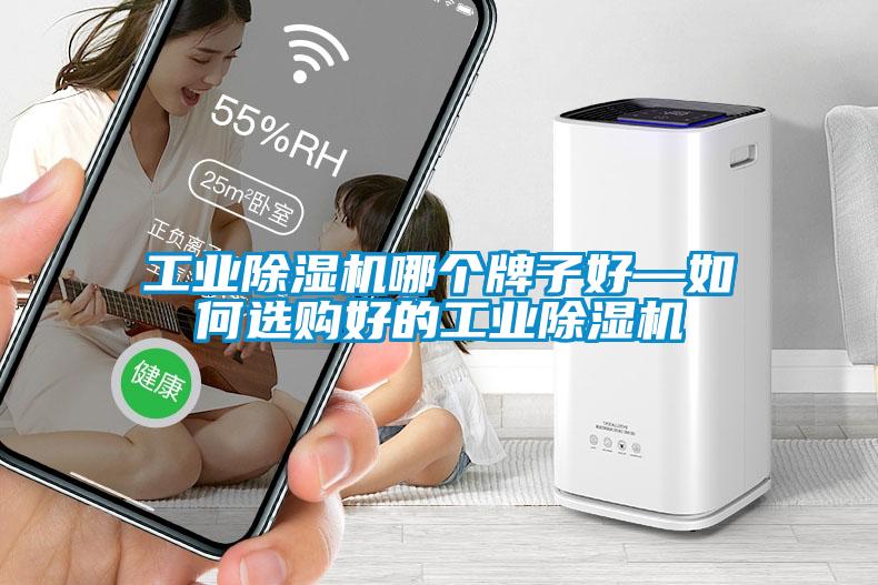工業(yè)除濕機(jī)哪個(gè)牌子好—如何選購好的工業(yè)除濕機(jī)