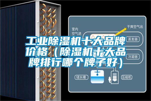 工業除濕機十大品牌價格（除濕機十大品牌排行哪個牌子好）