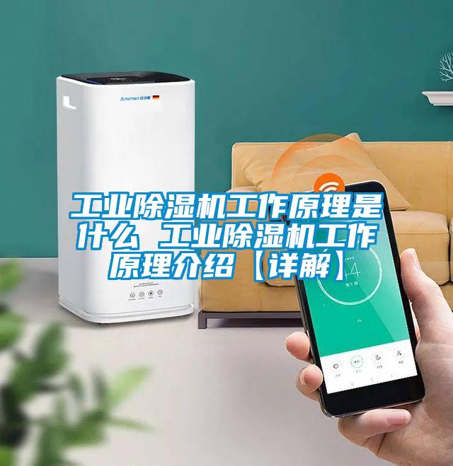 工業除濕機工作原理是什么 工業除濕機工作原理介紹【詳解】