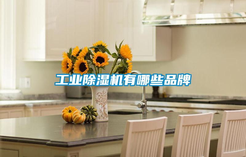 工業除濕機有哪些品牌