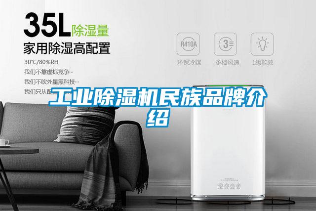 工業除濕機民族品牌介紹