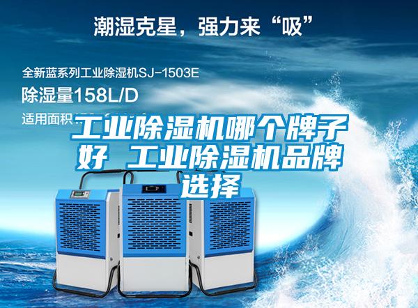 工業除濕機哪個牌子好 工業除濕機品牌選擇