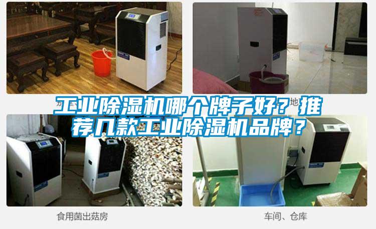 工業(yè)除濕機(jī)哪個(gè)牌子好？推薦幾款工業(yè)除濕機(jī)品牌？