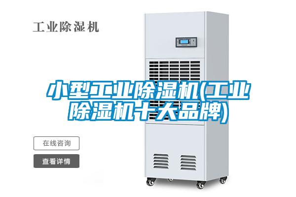 小型工業(yè)除濕機(工業(yè)除濕機十大品牌)