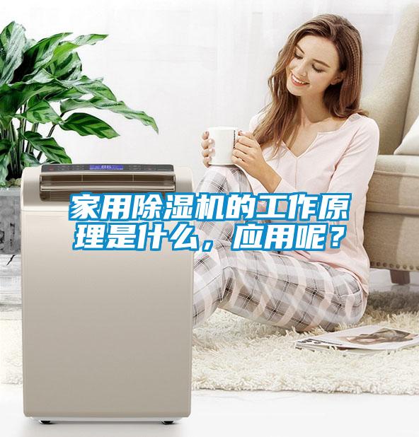 家用除濕機的工作原理是什么，應用呢？