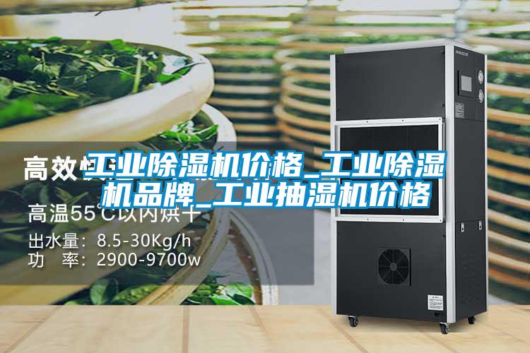 工業除濕機價格_工業除濕機品牌_工業抽濕機價格