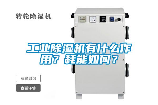 工業(yè)除濕機(jī)有什么作用？耗能如何？