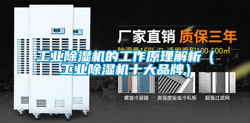 工業除濕機的工作原理解析（工業除濕機十大品牌）