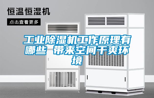 工業除濕機工作原理有哪些 帶來空間干爽環境