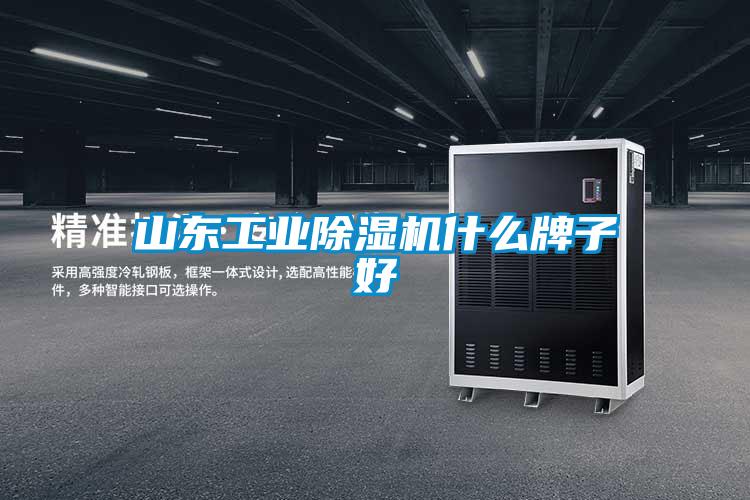 山東工業除濕機什么牌子好