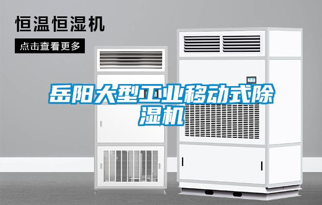 岳陽大型工業移動式除濕機