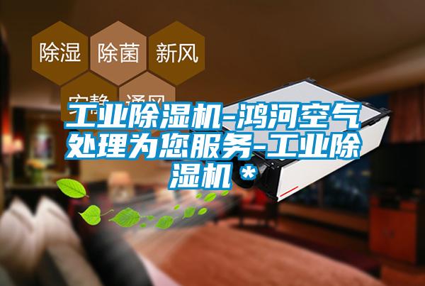 工業除濕機-鴻河空氣處理為您服務-工業除濕機＊