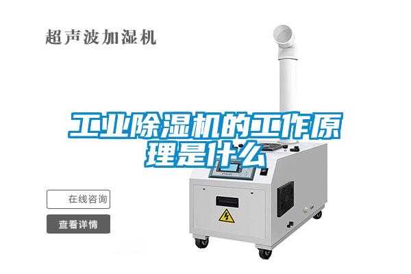 工業除濕機的工作原理是什么