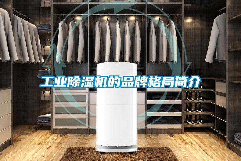 工業除濕機的品牌格局簡介