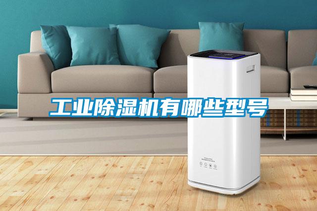 工業除濕機有哪些型號
