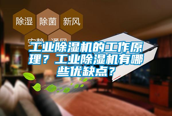 工業除濕機的工作原理？工業除濕機有哪些優缺點？