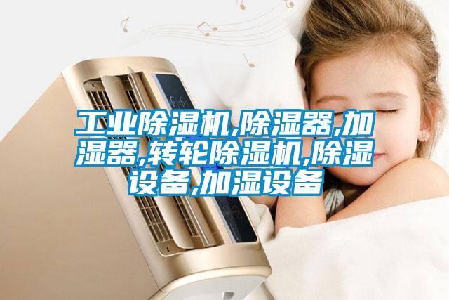 工業除濕機,除濕器,加濕器,轉輪除濕機,除濕設備,加濕設備