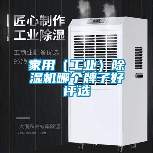 家用（工業）除濕機哪個牌子好評選